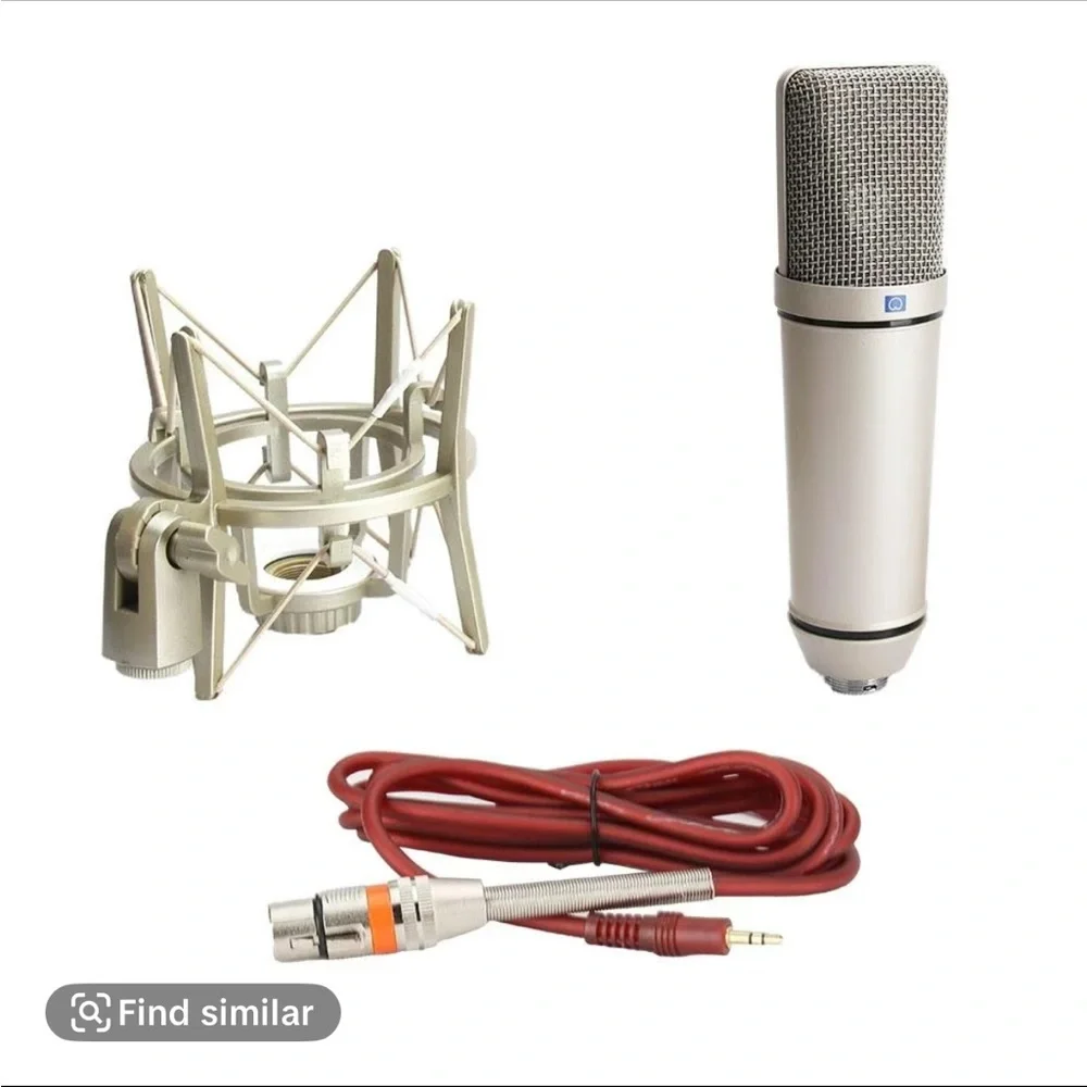 Professional Silver Microphone with Shock Mount